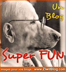 blog
